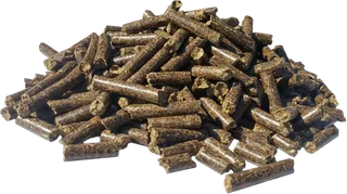 饲料养殖现代农业