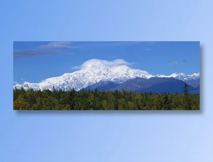 蓝天下雪峰前的松树林