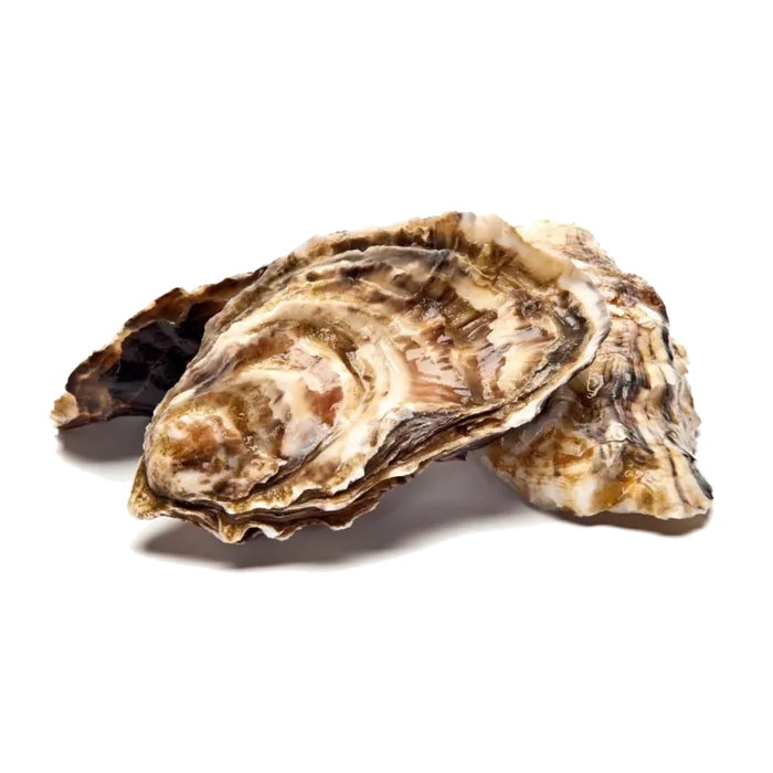 螺贝类带壳类(33)海鲜超市商品红酒白底图免抠实物摄影png格式图片透明底