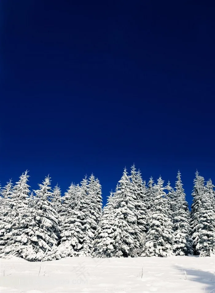 圣洁的雪山自然风景摄影