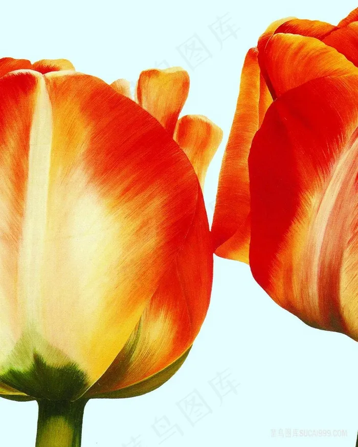 唯美高清时尚花卉油画
