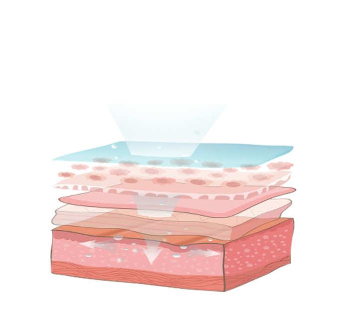 皮肌肤层化妆品素材png