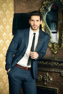 穿西服的成熟男人图片