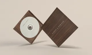 企业光盘样机