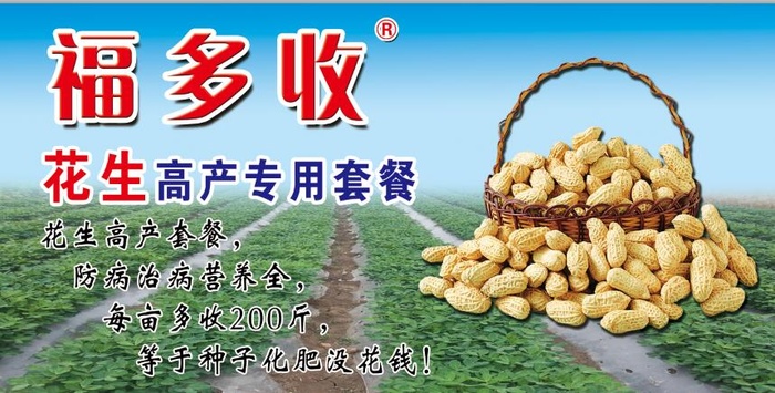花生海报 花生展板psd模版下载