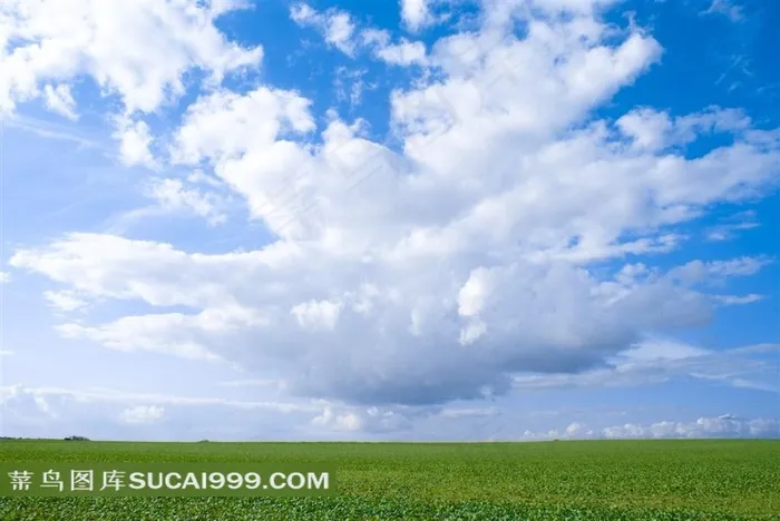 蓝天白云与水葫芦图片