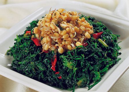 95C-195荠荠菜拌豆芽