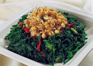 95C-195荠荠菜拌豆芽