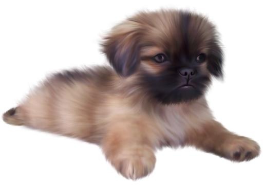 狗 PNG免抠(600x422)