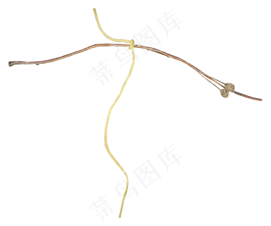 线绳　　　