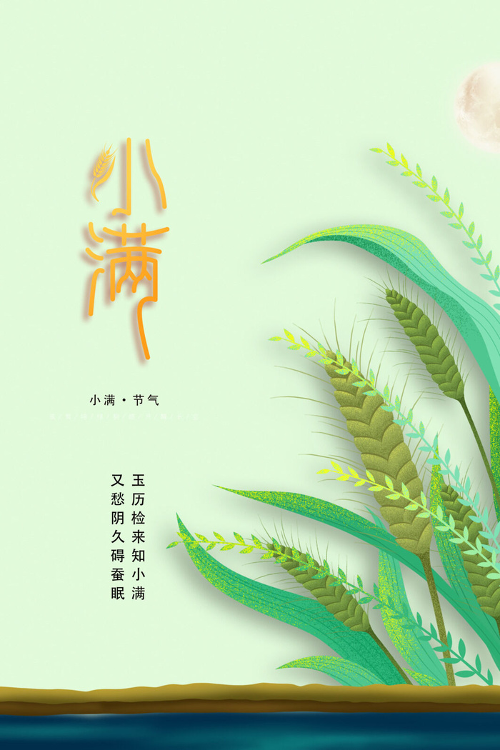 小满节气psd模版下载