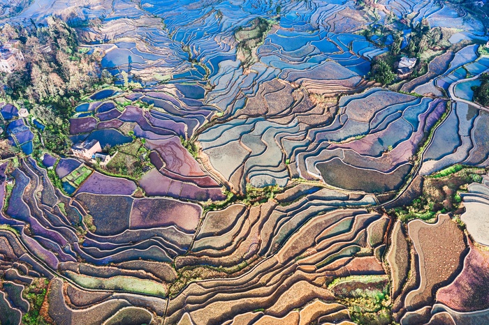 爱村蓝色梯田 
