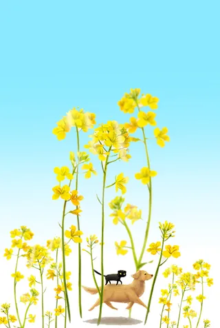 小狗油菜花插画手绘