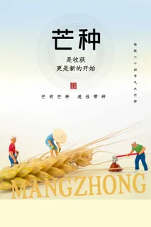 芒种 芒种海报设计