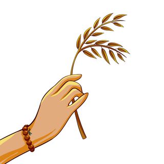 禅意佛手拈花指莲花佛珠敦煌文化线描稿国潮风元素设计模板素材