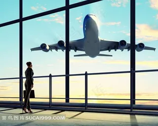 机场商务美女飞机图片