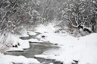 冬天自然背景风景