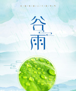 谷雨二十四节气海报设计