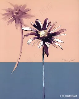 唯美花束花朵插画装饰画 唯美花束花朵插画装饰画