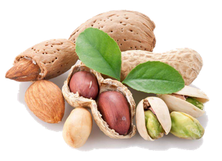 花生坚果开心果 素材 免扣