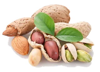 花生坚果开心果 素材 免扣