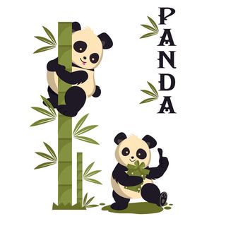 中国国宝大熊猫