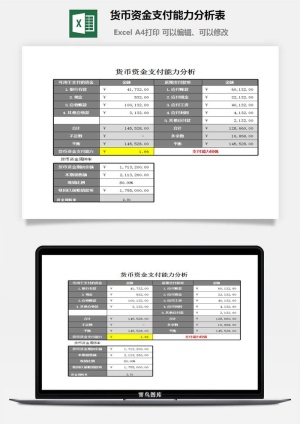 货币资金支付能力分析表excel模板