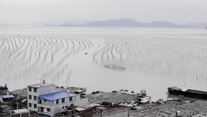 霞浦渔排养殖风光