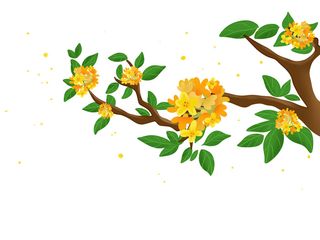 中秋节手绘卡通桂花树枝元素素材