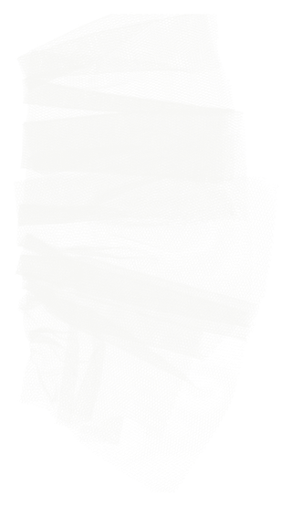 欧式优雅精致复古风格油画质感色彩手绘花卉植物树叶插画PNG素材2