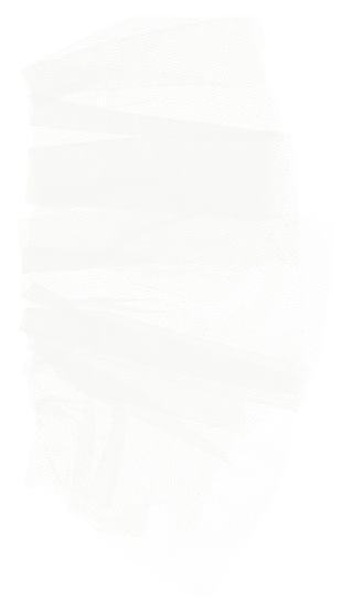 欧式优雅精致复古风格油画质感色彩手绘花卉植物树叶插画PNG素材2