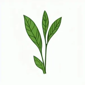 一小枝树叶png免抠