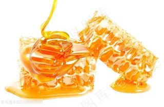 高清图片美味的蜂蜜甜品