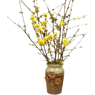 浅色唯美桌面装饰盆栽免扣素材