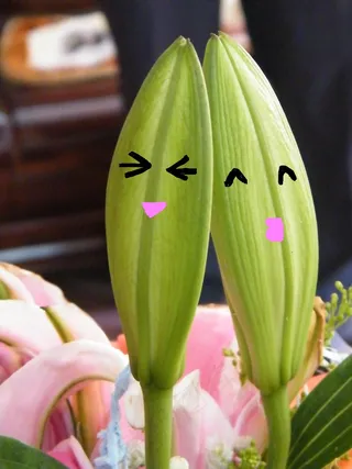 相亲相爱另类图片