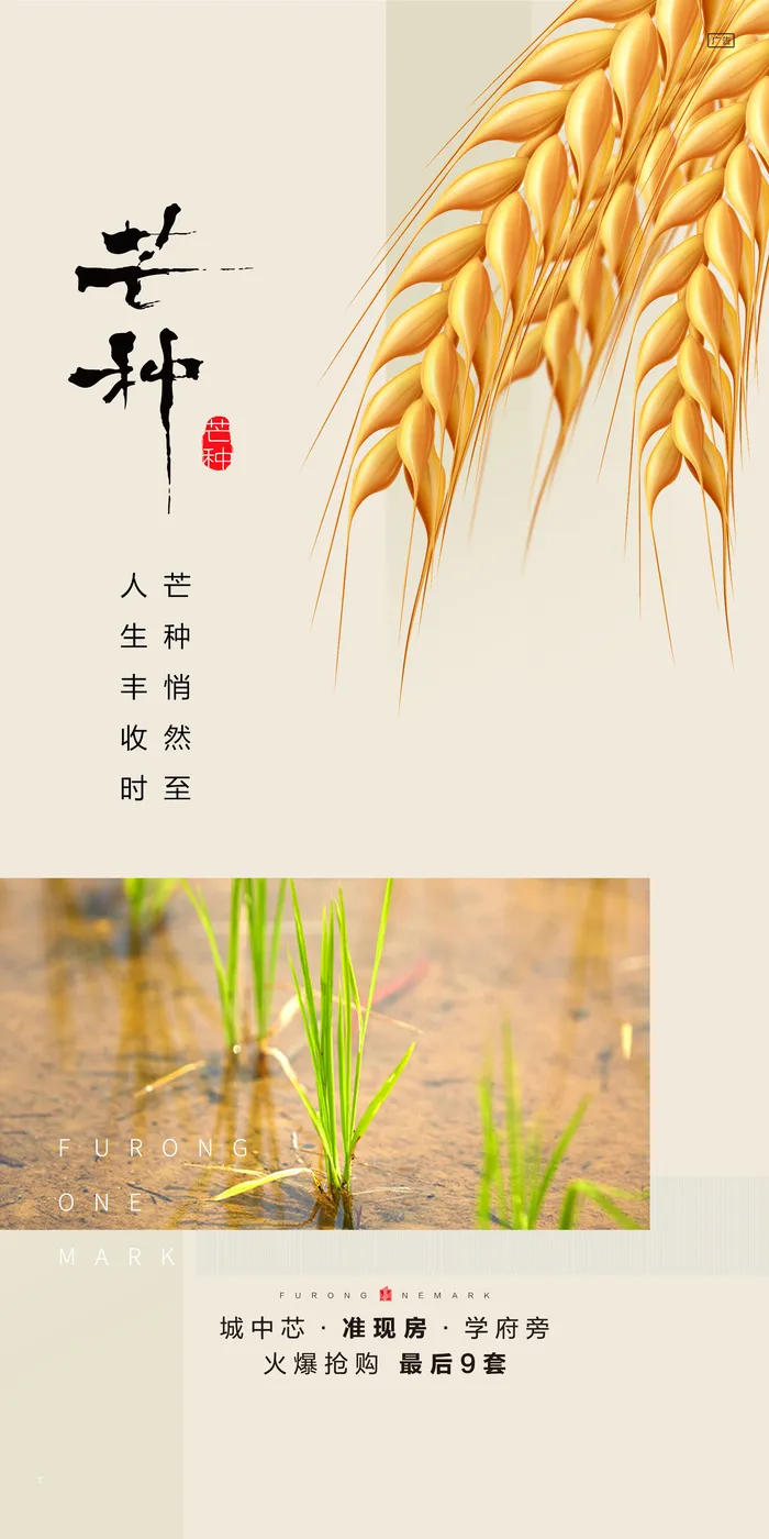 中国传统24节气芒种微信宣传海报psd模版下载