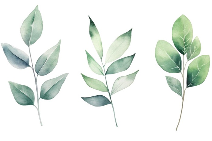 绿叶植物树叶茶壶免抠