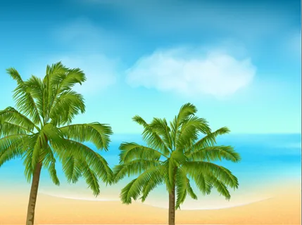 夏天海滩大海背景