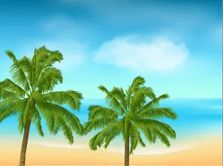 夏天海滩大海背景