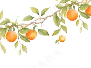 秋 柿子树水彩画插画免抠