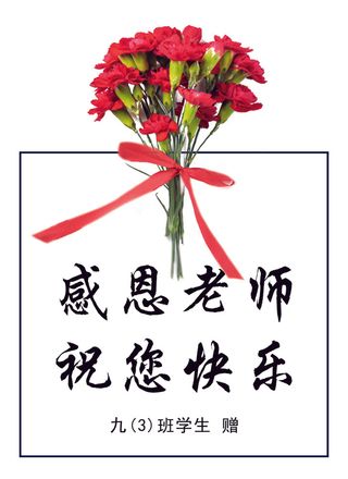 教师节感恩老师教师节花