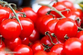 西红柿圣女果