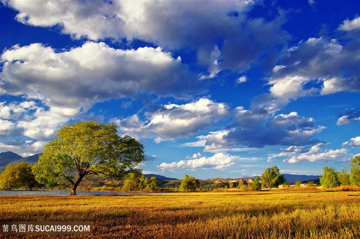 丽江拉市海风景美景