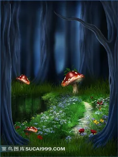 森林蘑菇摄影背景图片