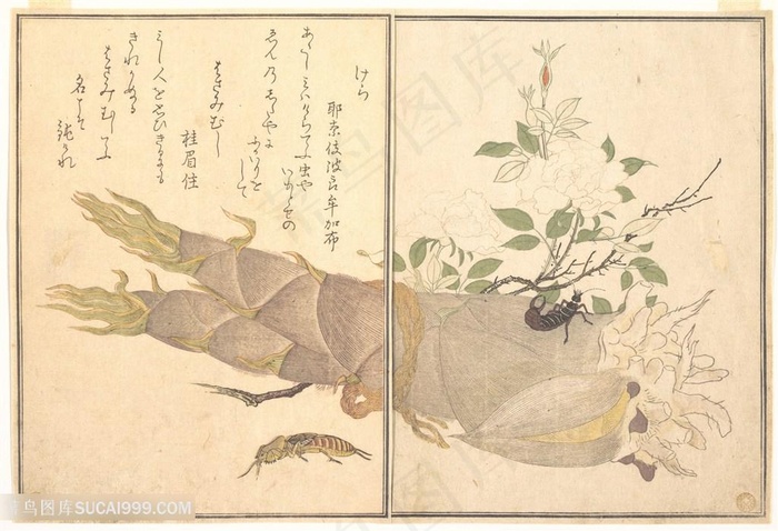 喜多川歌磨手绘竹笋简约装饰画