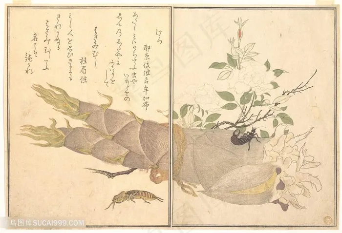 喜多川歌磨手绘竹笋简约装饰画
