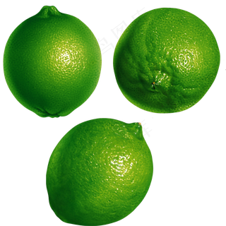 青柠檬免抠素材 (6)