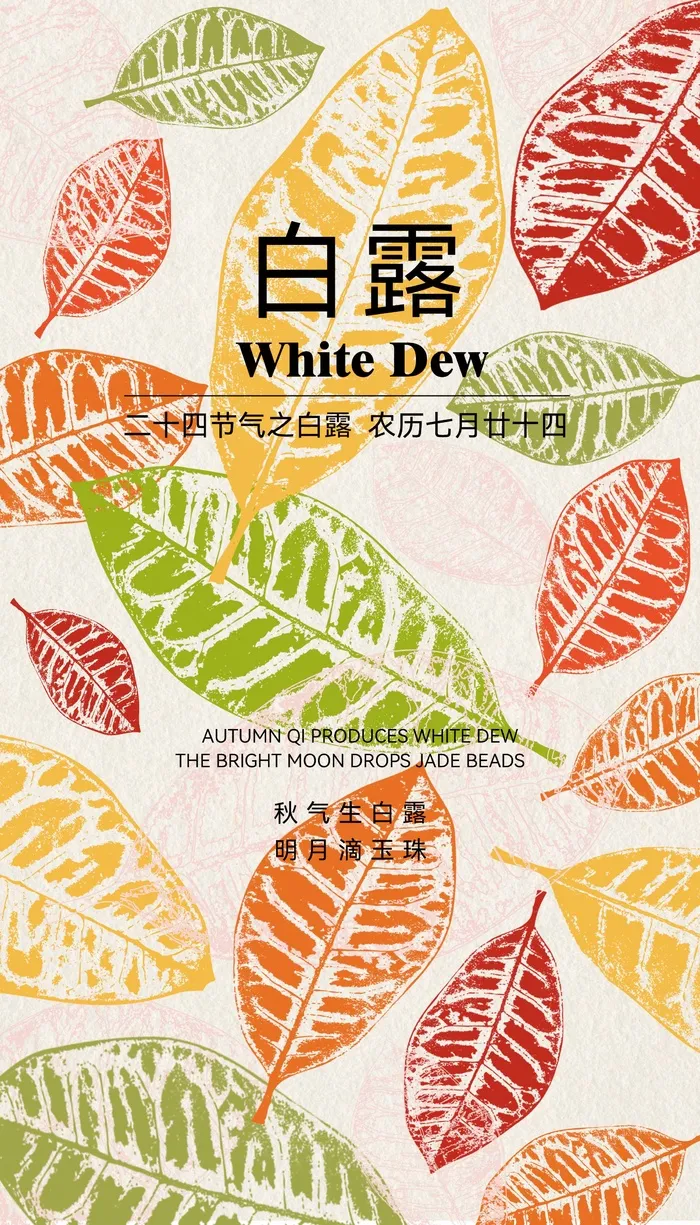 二十四节气白露psd模版下载