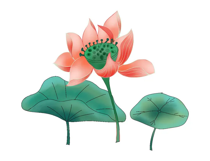 国潮中国风手绘荷花莲花荷叶莲藕植物花卉装饰插画PSD设计素材psd模版下载