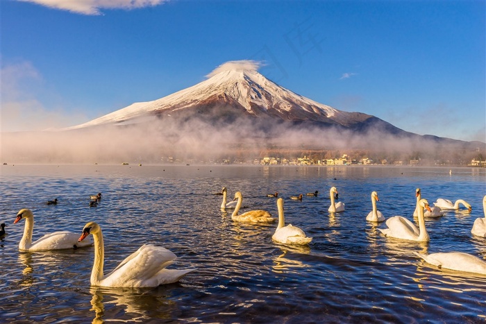 富士山美景图片素材